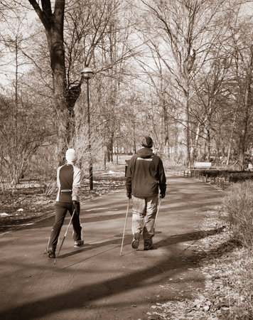 Excercising in parkの写真素材