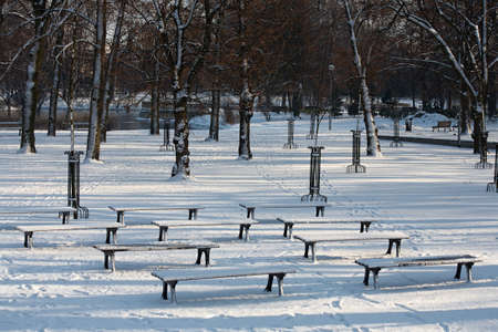 Public park in winterの写真素材