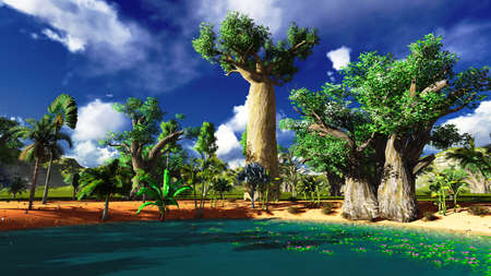 African baobabsの写真素材