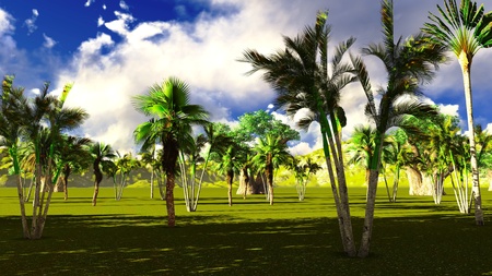 African savannah with lush and vibrant vegetationの写真素材