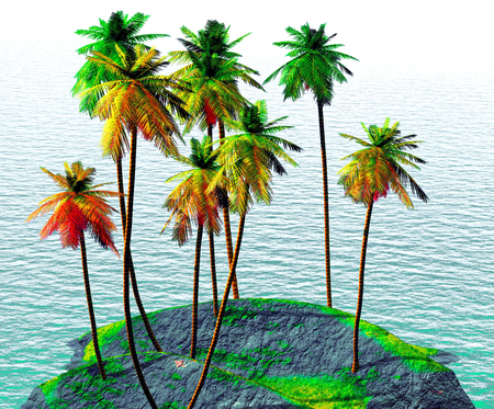 Coconut grove on tropical tiny islandの写真素材