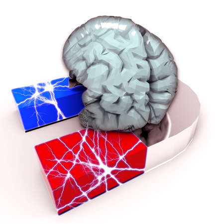 Human Brain and Magnet - Brain strength
