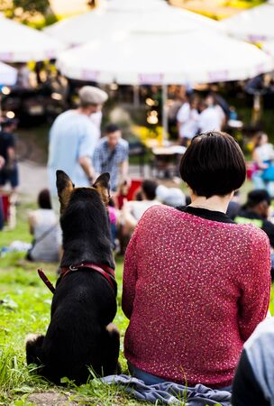 Festival of youthの写真素材