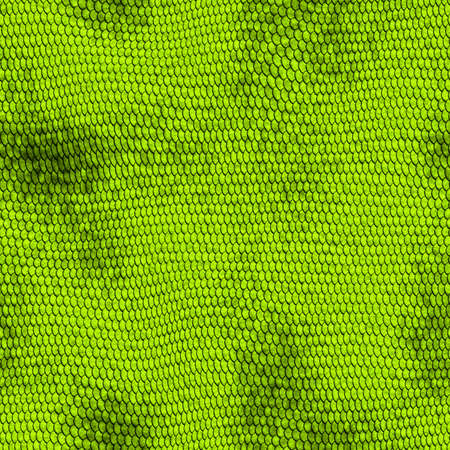 The snake skin - macro illustrationの写真素材