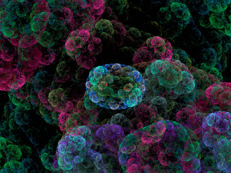 Symmetrical growth of bacteria