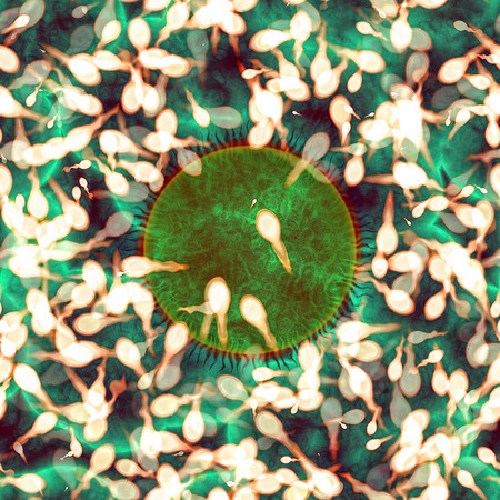 Human Fertalizationの写真素材