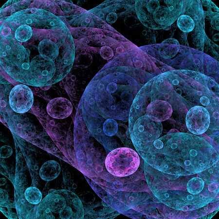 Symmetrical growth of bacteria