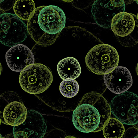 Symmetrical growth of bacteriaの写真素材