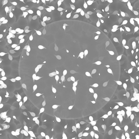 Bacteria under microscopeの写真素材