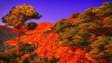 beautiful shoreの写真素材