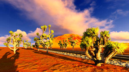 Joshua trees and railroadの写真素材