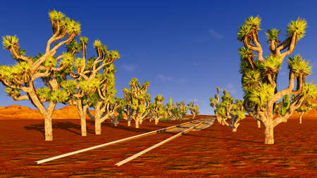 Joshua trees and railroadの写真素材