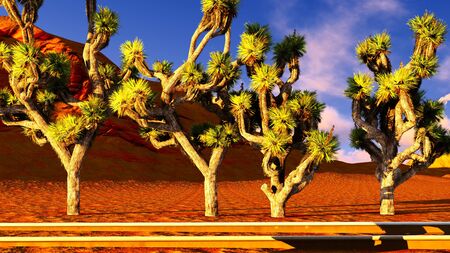 Joshua trees and railroadの写真素材