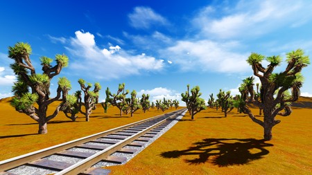 Joshua trees and railroadの写真素材