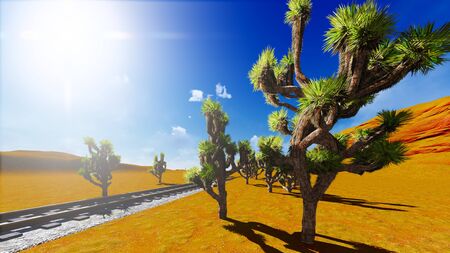 Joshua trees and railroadの写真素材