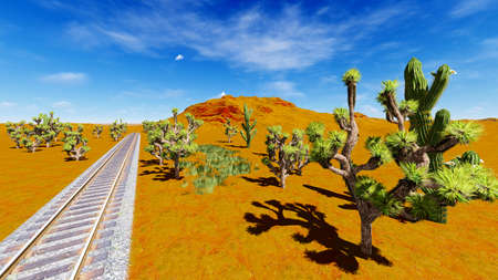 Joshua trees and railroadの写真素材