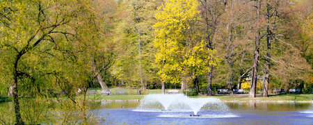 Panoramic view on park