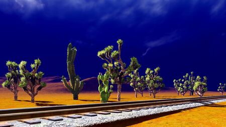 Joshua trees on the  desert
