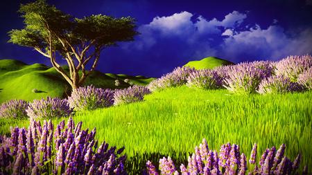 Lavender fields with a solitary treeの写真素材