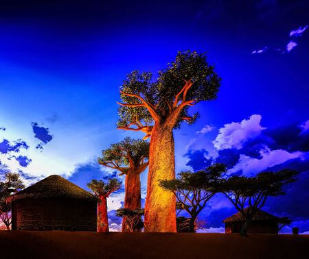 African village with traditional huts surrounded by baobab treesの写真素材