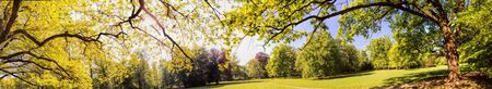 panorama of park in summer time