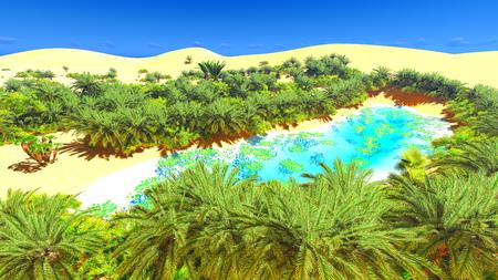 Beautiful sunset on the Sahara  desert