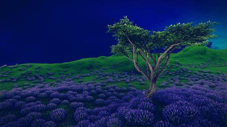 Lavender fields with a solitary treeの写真素材
