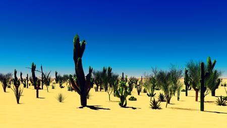 American desert at beauiful sunsetの写真素材
