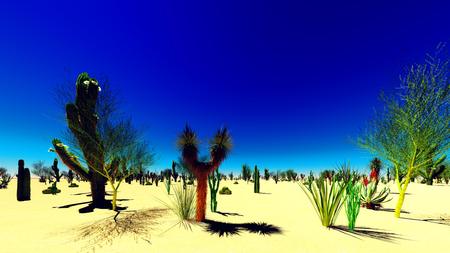 American desert at beauiful sunsetの写真素材