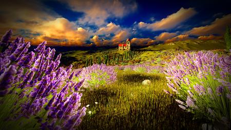 Lavender fields landscape in the eveningの写真素材