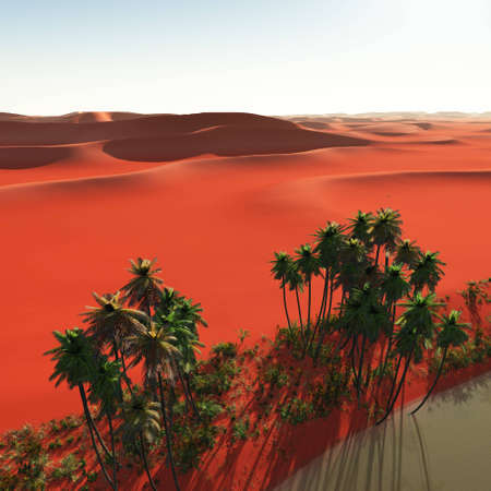 Oasis in the Sahara desert