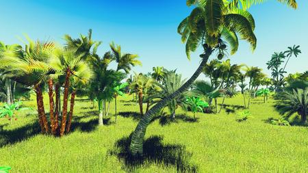 Lush vegetation in the jungleの写真素材