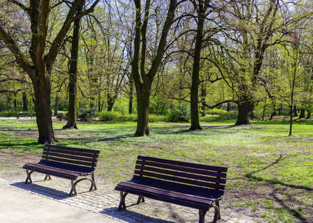 Peaceful park in the city of Wroclawの写真素材