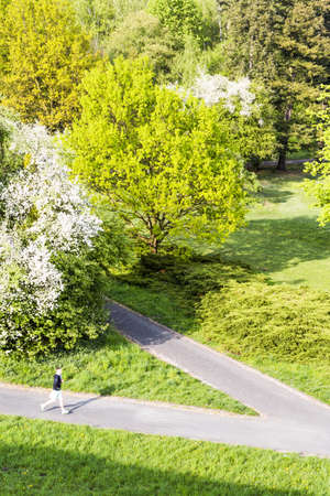 Young man running in the morning in public park