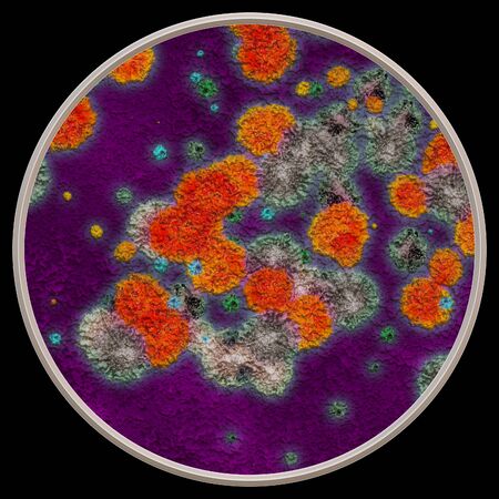 Bacteria under microscope - colorful illustration