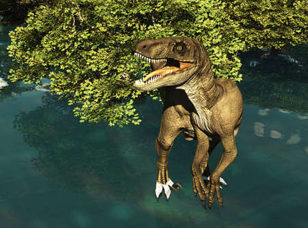 Velociraptor the dinosaur on marsh landの写真素材