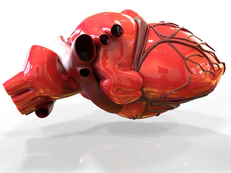 Model of artificial human heart