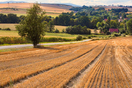 Village in South Poland in Sudety Rageの写真素材