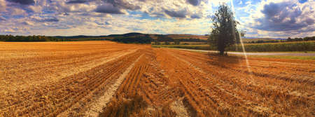 Beautiful panoramic landscape in Polandの写真素材