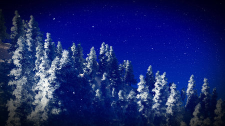 Snow covered Christmac forest in mountainsの写真素材