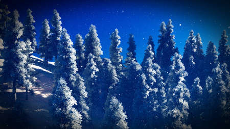 Snow covered Christmas forest in mountainsの写真素材