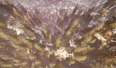 Colorful aerial view of a north american forest