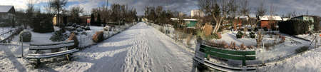 Allotments in snowy winter