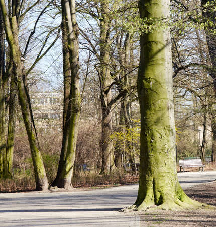 Paths in springtimeの写真素材