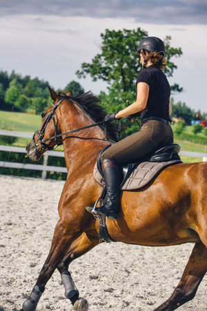 Woman Riding a Horse in Jumper Ringの写真素材