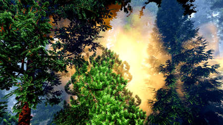 Disaster with fire in the forest 3d rendering