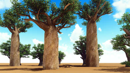 Awesome baobabs in African savannah 3d renderingの写真素材