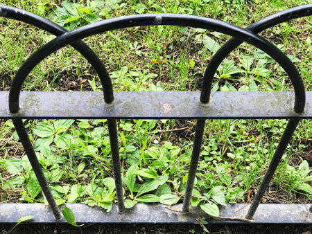 Fence on the meadow close up