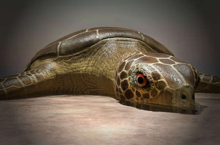 Sea turtle laying eggs on the beach 3d rendering