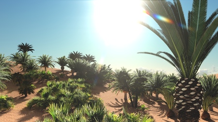 Great point of view on Sahara desert at sundown 3d renderingの写真素材